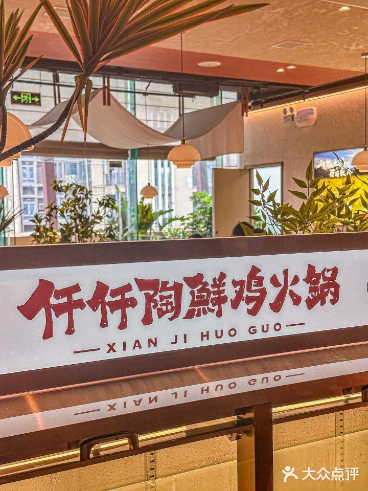 鲜鸡火锅天花板🔥一口鲜到尖叫！