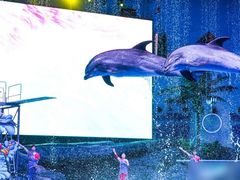 -海合安武汉极地海洋公园