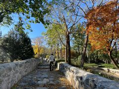-阳台山自然风景区
