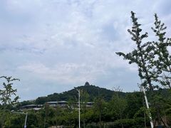 -苏州海洋馆