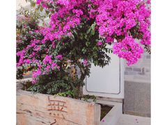 -大理无舍度假酒店