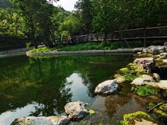 -白水寺森林公园