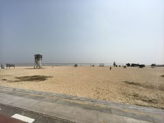 -日照海滨国家森林公园