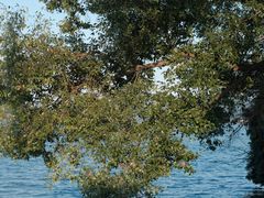 -东钱湖旅游度假区