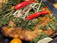 香茅草烤罗非鱼-云海肴·汽锅鸡·云南菜(美罗城店)