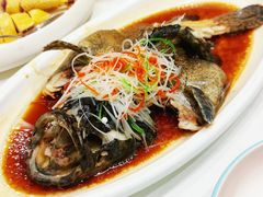 -峨嵋酒家 南北川菜 优选烤鸭(广渠路店)