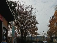 -五凤溪古镇