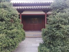 -西安青龙寺遗址景区