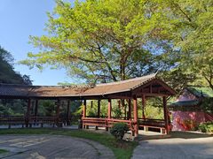 -磐安舞龙峡景区