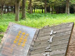 -东平国家森林公园