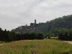 -南沙蒲洲花园