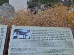 -崂山仰口游览区
