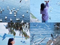 -滇池海埂公园