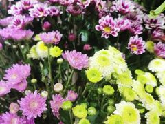 -何兮花店·气球派对鲜花店(马桥银春路万科城店)