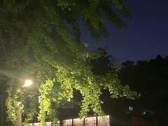 -翠园十八号庭院餐厅