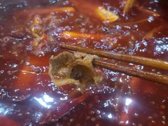 -星鸿社重庆老火锅(燃灯寺分店)