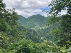 -东天目山风景区