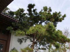 -黄鹤楼