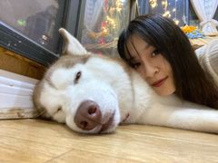 -Husky Go! 哈士奇体验馆·宠物咖啡厅狗咖