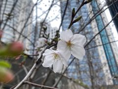 -玛格萝妮比萨屋(四平店)