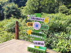 -瓦屋山景区