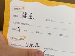 -瑞派康怡24h宠物医院·犬猫医疗中心·微创绝育(瑞景分院)