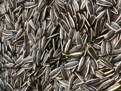 -琦王花生(周浦万达店)