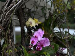 -人民公园(罗湖区)