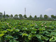 -阳澄湖半岛旅游度假区