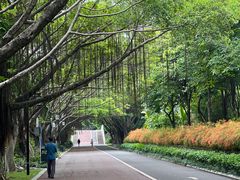 -南宁南湖公园
