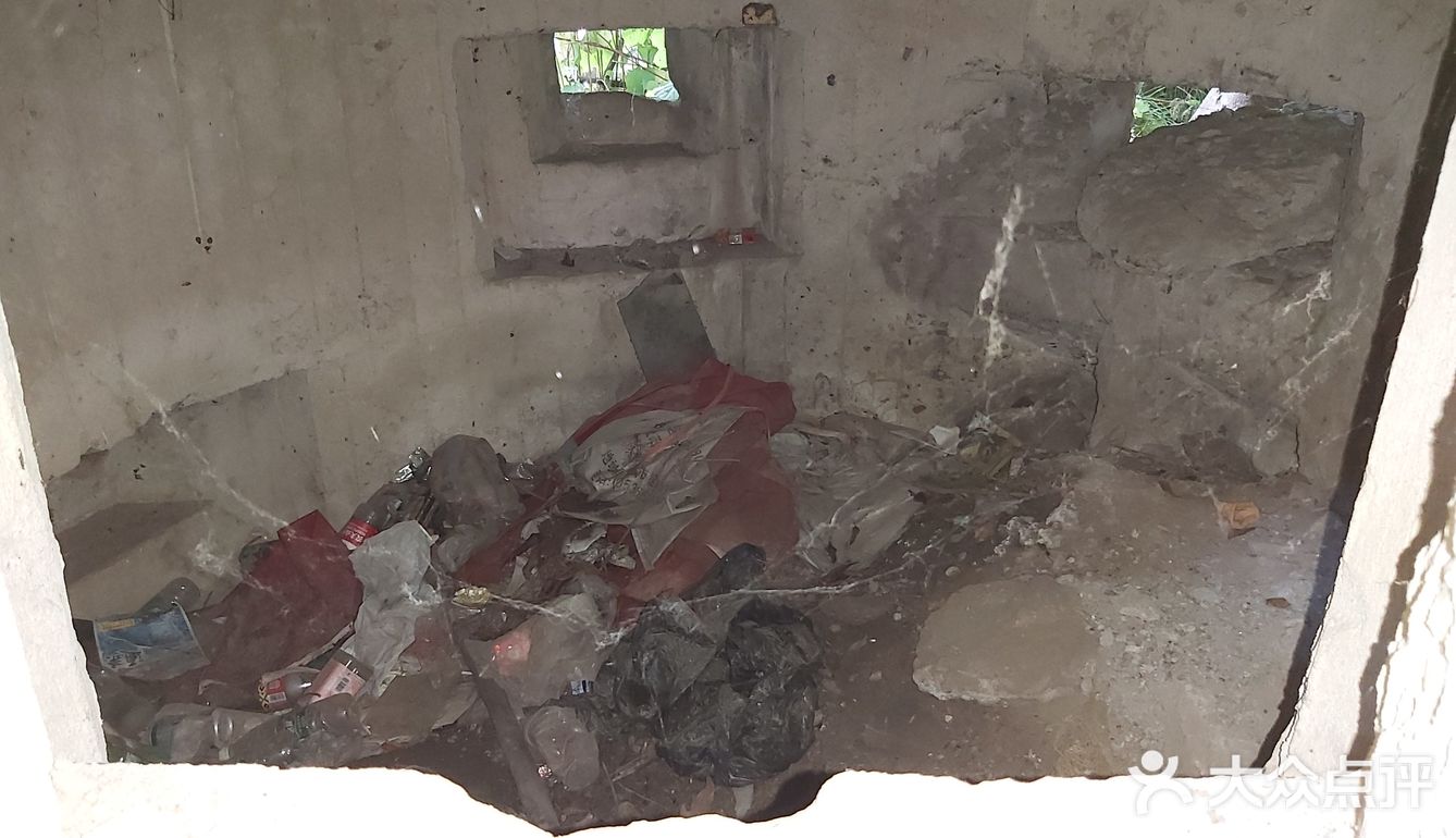 碉堡定为文物，闵行又添一例