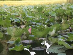 -韶山毛泽东同志故居