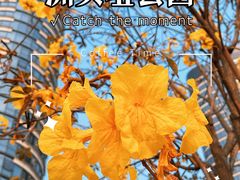 -洲头咀公园