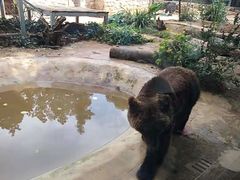 -昆明动物园