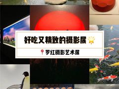-罗红摄影艺术馆