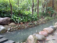 -成都市活水公园