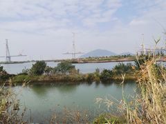 -芒洲湿地公园