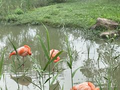 -上方山森林动物世界