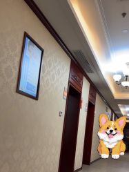 -南京医科大学友谊整形外科医院