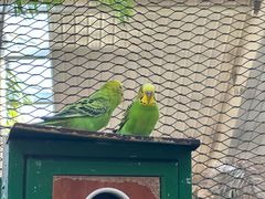 -南宫五洲植物乐园