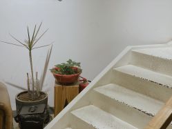 -M+hair salon专业造型沙龙