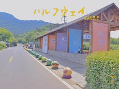 -树山生态村