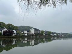 -鲁镇