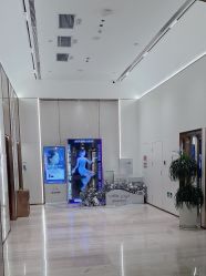 -深圳美莱医疗美容医院