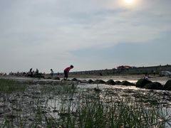 -南汇嘴观海公园