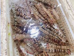 九节虾-霞涌市场海鲜摆卖区
