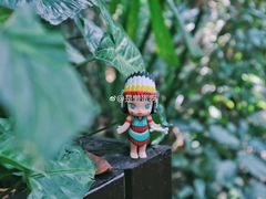 -呀诺达热带雨林