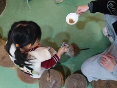 -藦茜花园宠物主题亲子互动体验馆(国顺东路店)
