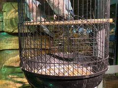 -绿色星球动物主题公园