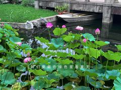 -东山雕花楼